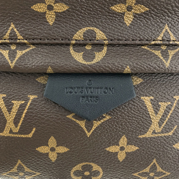 Louis Vuitton Palm Springs Backpack MM Monogram Brown Black - Picture 4 of 12